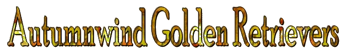 Autumnwind Golden Retrievers